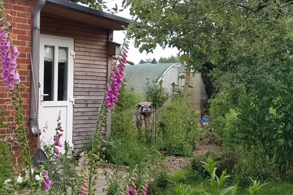 Fairschlafen - Gartenwohnung Bücken Exterior foto